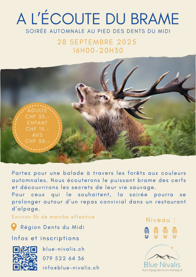 A lécoute du brame du cerf