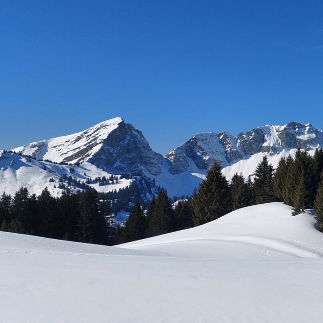 Aventure sauvage dans les Préalpes - 7 au 8 février