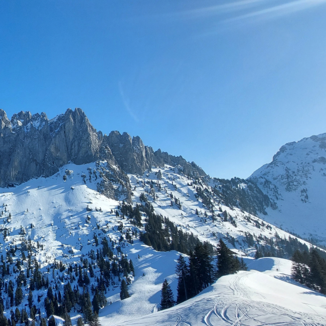 PREMIÈRES TRACES - Gastlosen - 6 au 7 février 2027