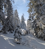 LA CABANE SECRÈTE - 30 au 31 janvier 2027